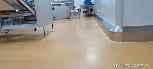 如何選擇適合食品廠凈化車間的地坪漆 客聰地坪