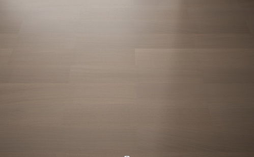 榮臣地板無極系列產品圖