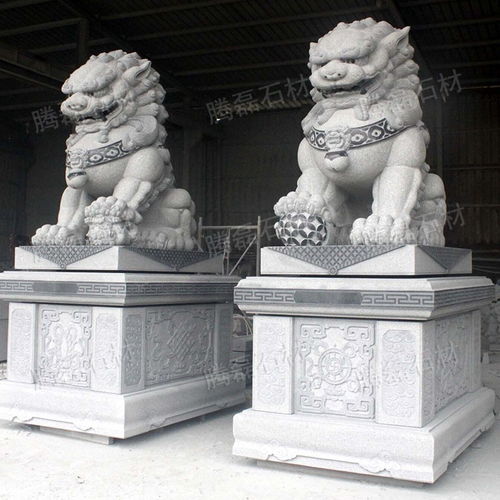 廣場(chǎng)石雕獅子雕刻 大型石雕石雕獅子生產(chǎn) 泉州石雕獅子訂購(gòu)批發(fā)